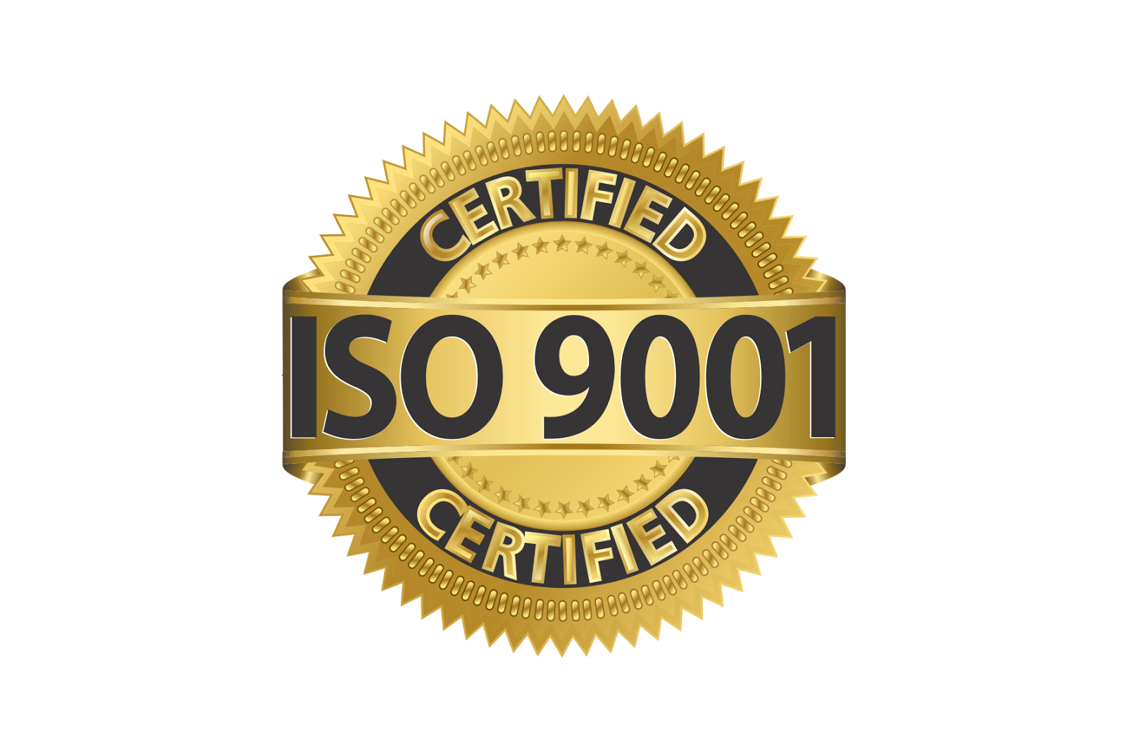 ISO 9001 Logo