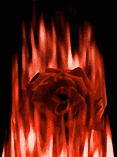 Resultado de imagem para gif pomba gira