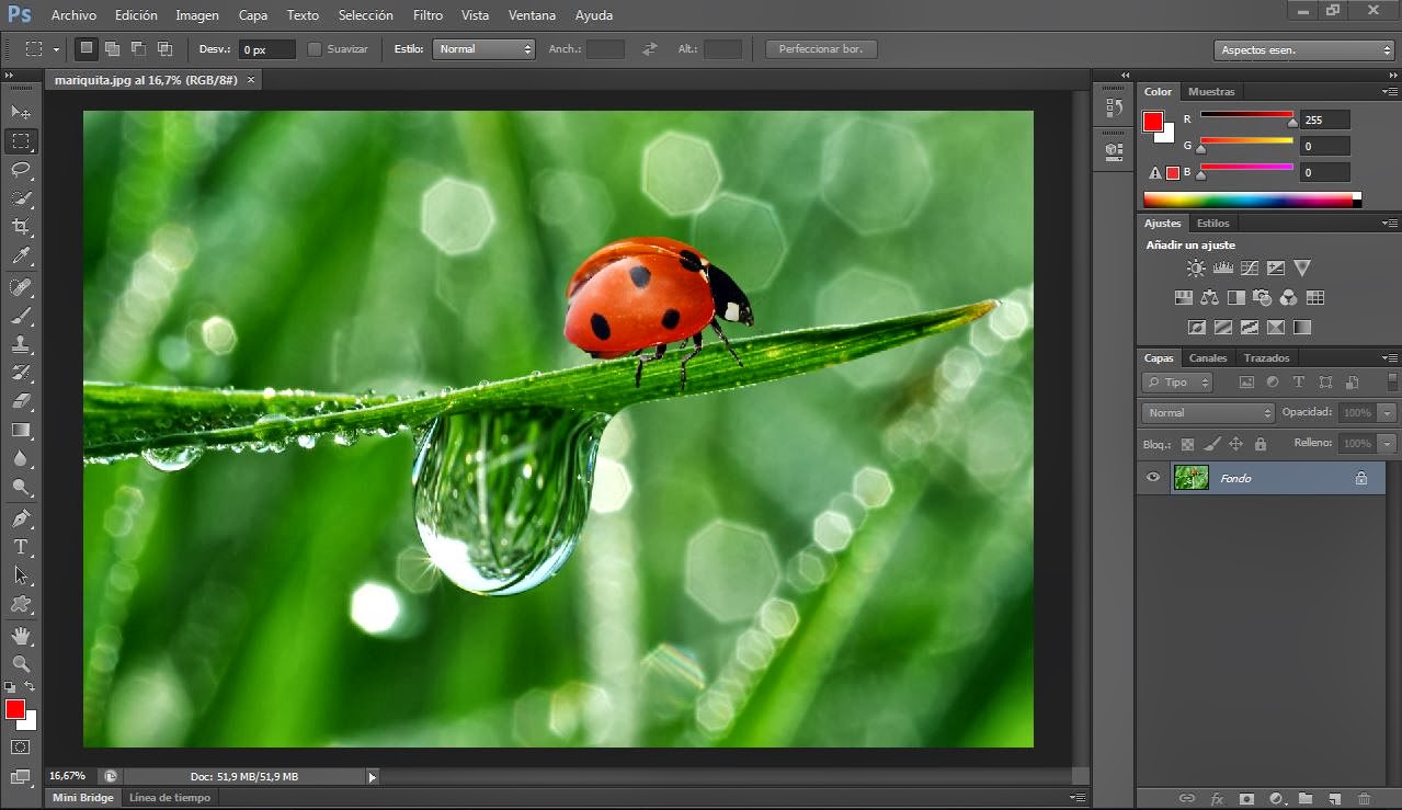 Como Poner Una Foto En Blanco Y Negro En Illustrator