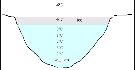 Welcome...........: Advantage & Effects of ANOMALOUS EXPANSION OF WATER