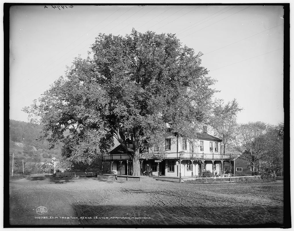 The Mighty Elm Tree History Sleuth's Writings