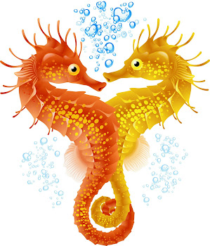 Click to See Seahorses being born