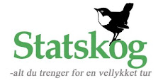 Statskog