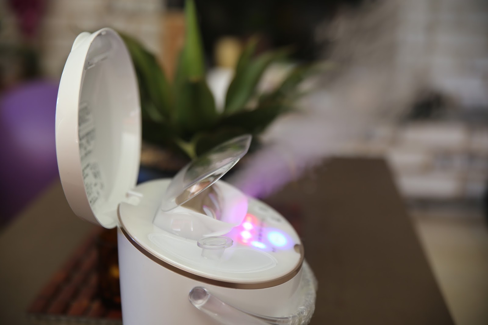 First Impressions Panasonic Facial Steamer —