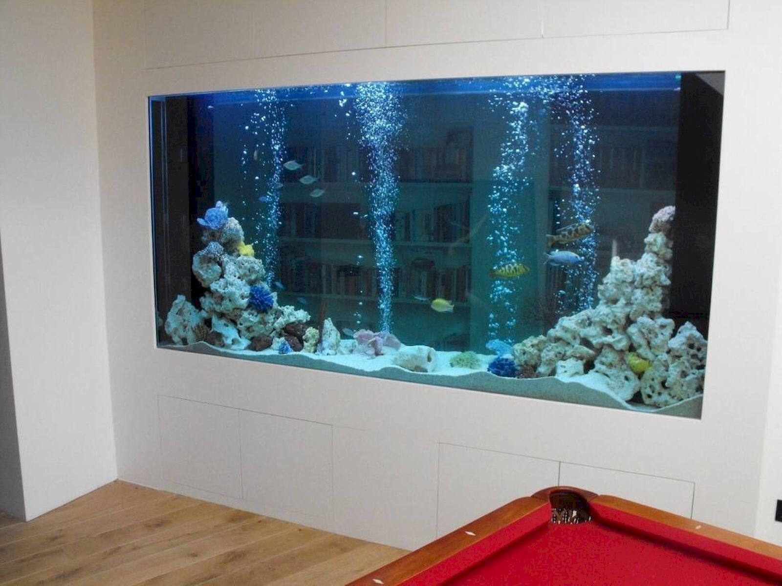 46 Desain Aquarium Cantik dan Unik Antimainstream Rumahku Unik