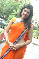 Shraddha Das Spicy Photo shoot in Orange Saree stills