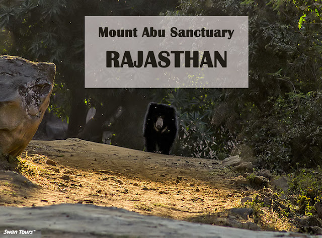 Mount Abu Sanctuary, Rajasthan Tour packages