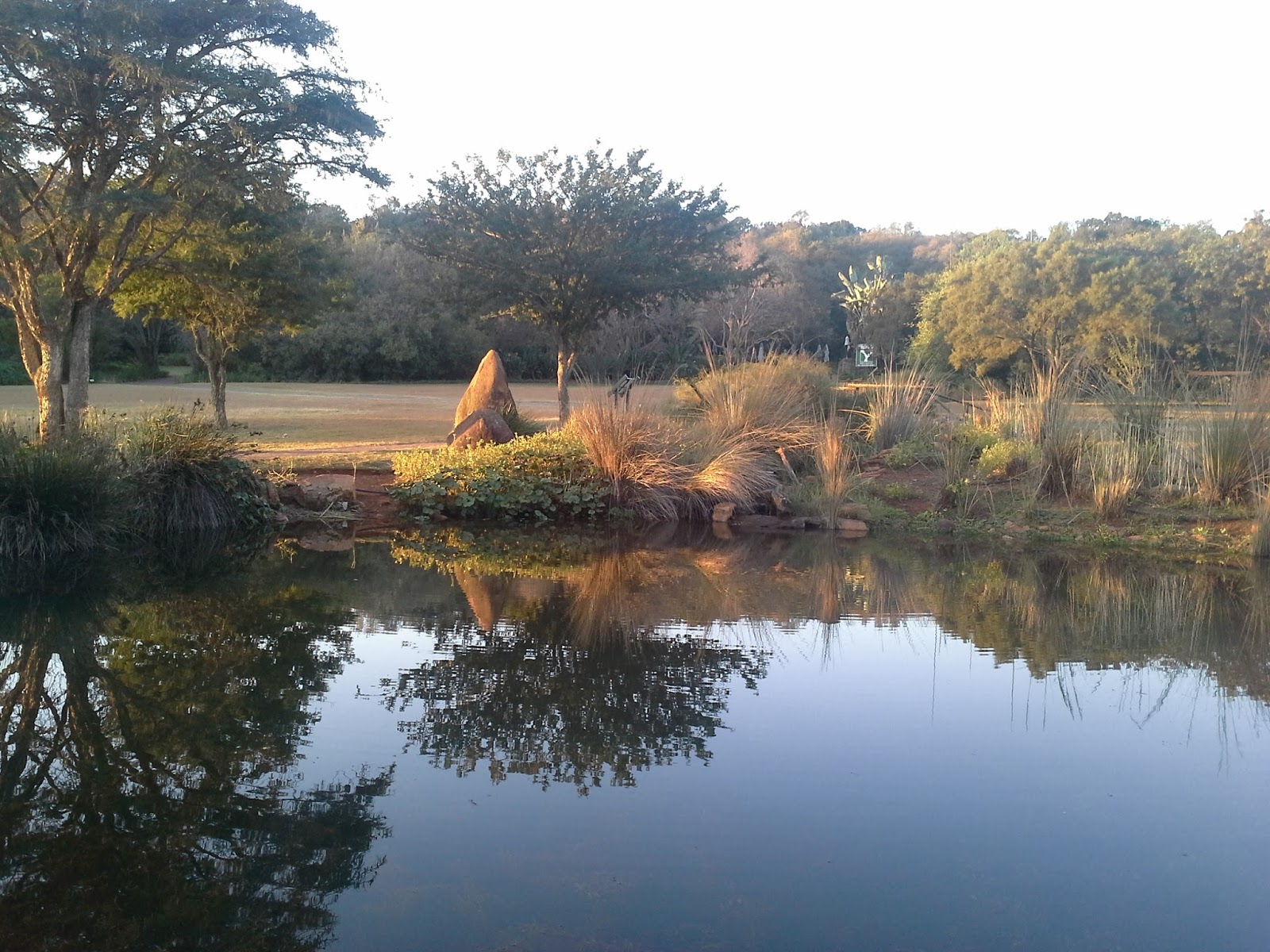 Go with Henry Sunset tea at the Pretoria Botanical gardens