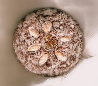 Lebkuchen from Nuremberg with almonds