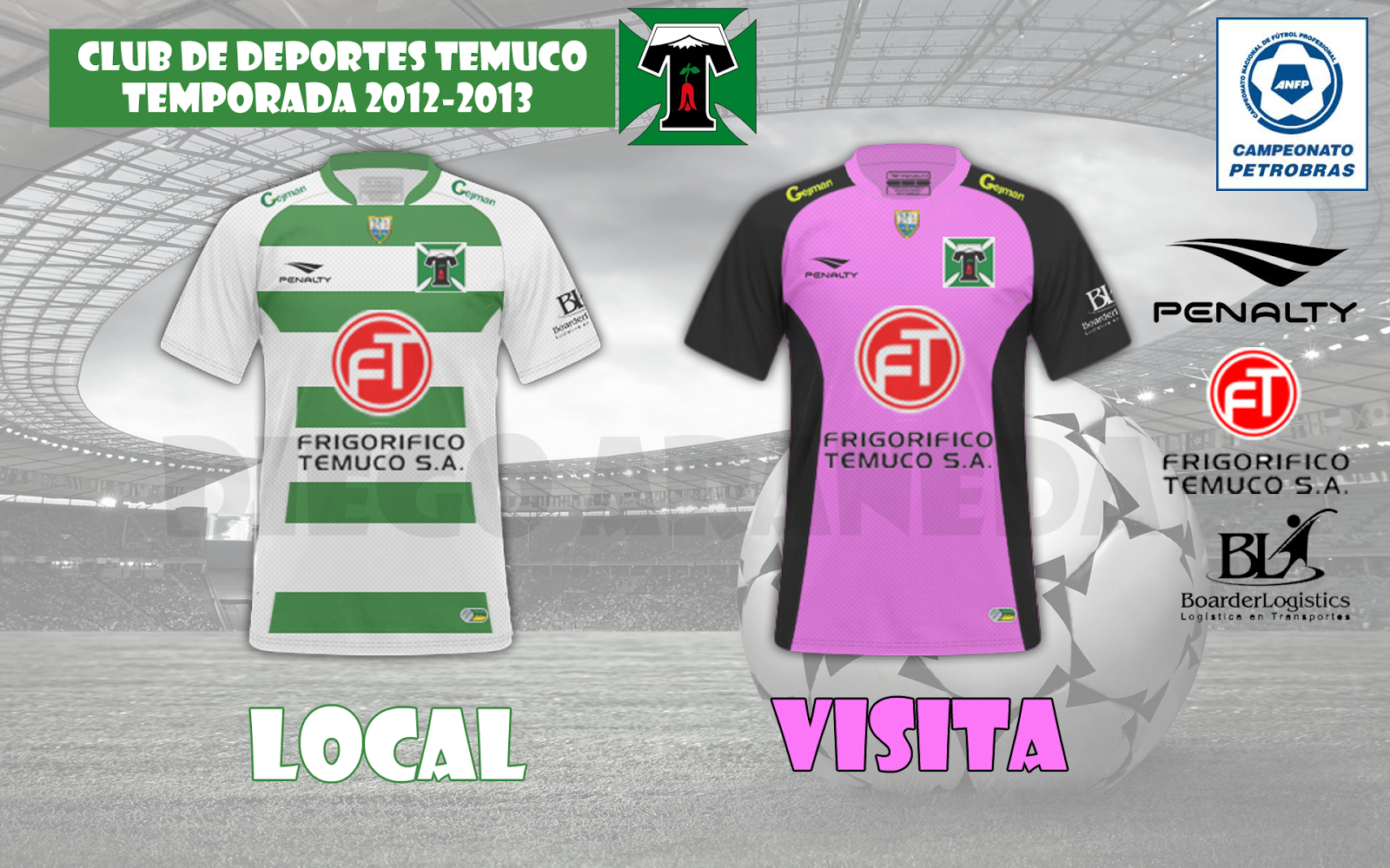 RECOPILACIÓN CAMISETAS DE DEPORTES TEMUCO