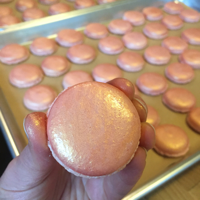 Heidi's Mix Embellishing Macarons