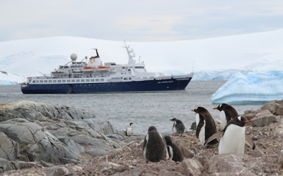 GOING ON ADVENTURES: Embracing the unexpected in Antarctica