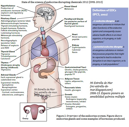 Vivir con calcular tu metabolismo basal