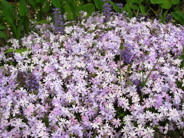 Welcome to Chaos: Changes