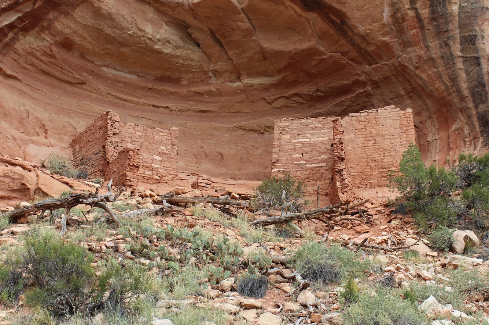 Sand Canyon Trail