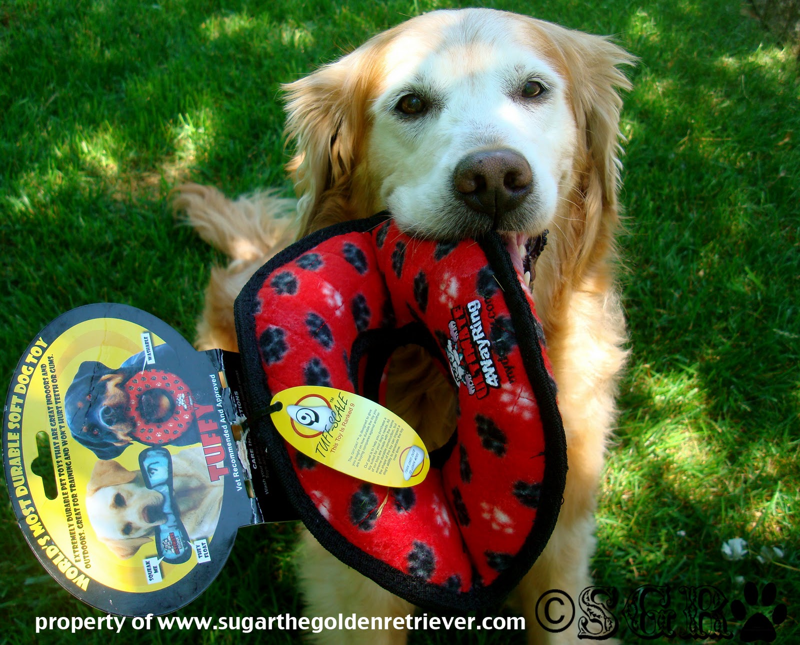 Ultimate 4 Way Ring TUFFY Toy Golden Woofs