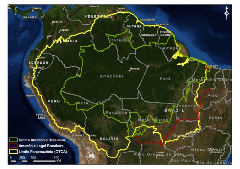 Hileia Amazônica Floresta com Maior Biodiversidade do