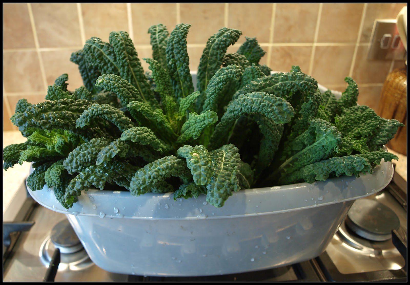Mark's Veg Plot Arrivederci Cavolo Nero