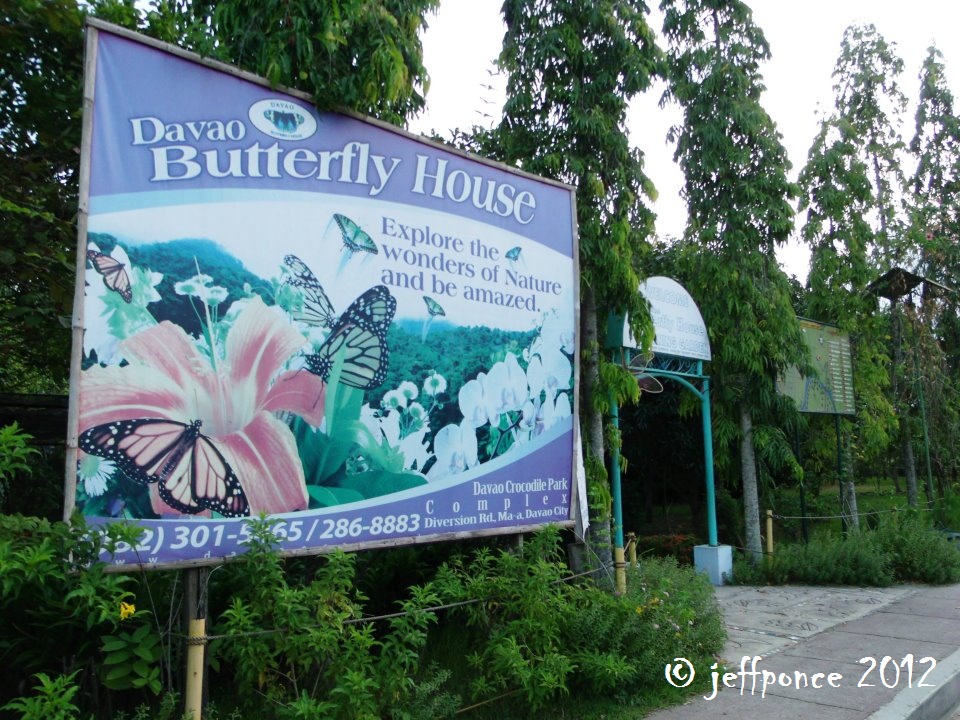 Bisayang Manlalakbay around the Philippines Visit at Davao Butterfly House