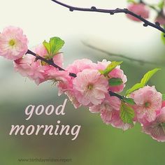 good morning images hd