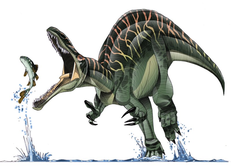 Katy J Negus. BA Hons. CG Arts & Animation Dinosaur Research Katy J Negus. BA Hons. CG Arts & Animation Dinosaur Research