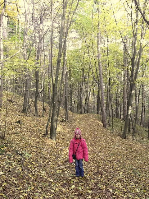 Walk In The Wood - Waldspaziergang