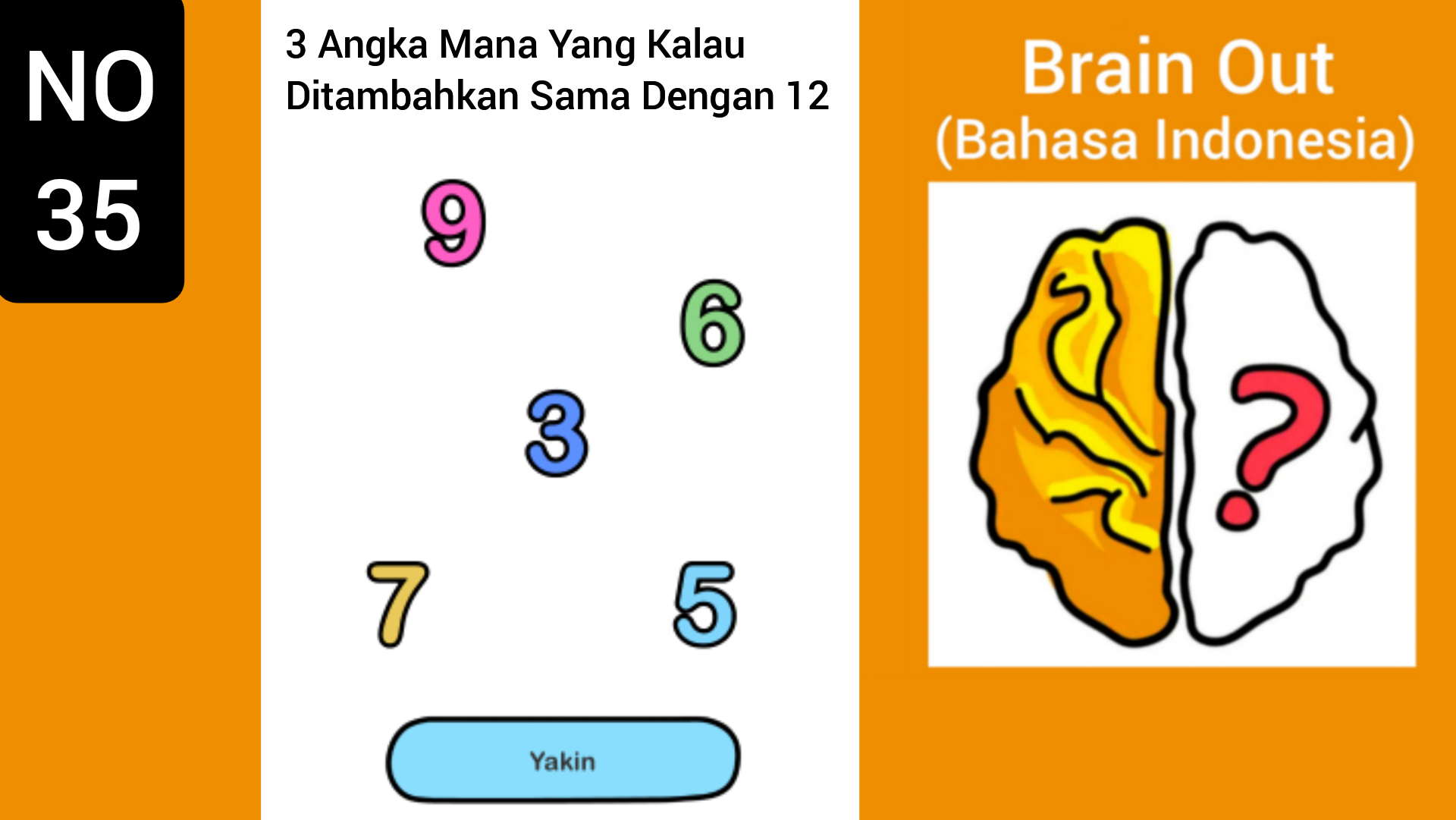 12 brains