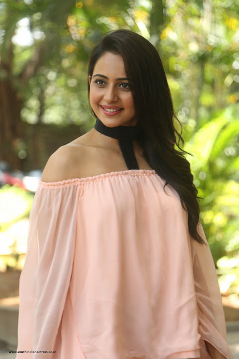 Rakul Preet Singh at Jaya Janaki Nayaka Success Meet