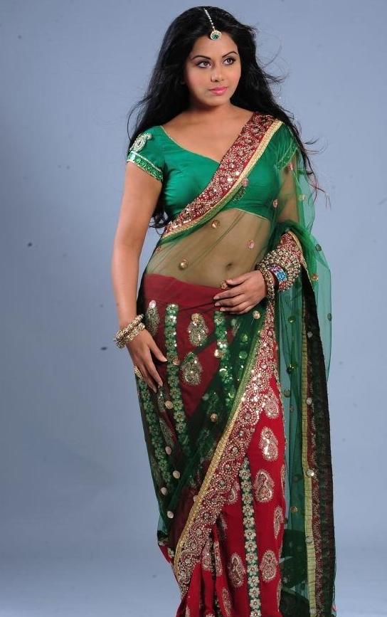 106-Rachana+Maurya+Hot+Navel+Photos+in+S