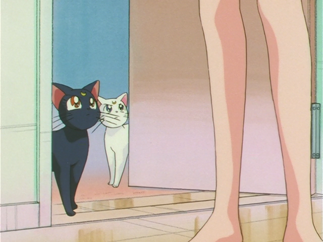 Anime Feet: Sailor Moon S: Usagi Tsukino 2