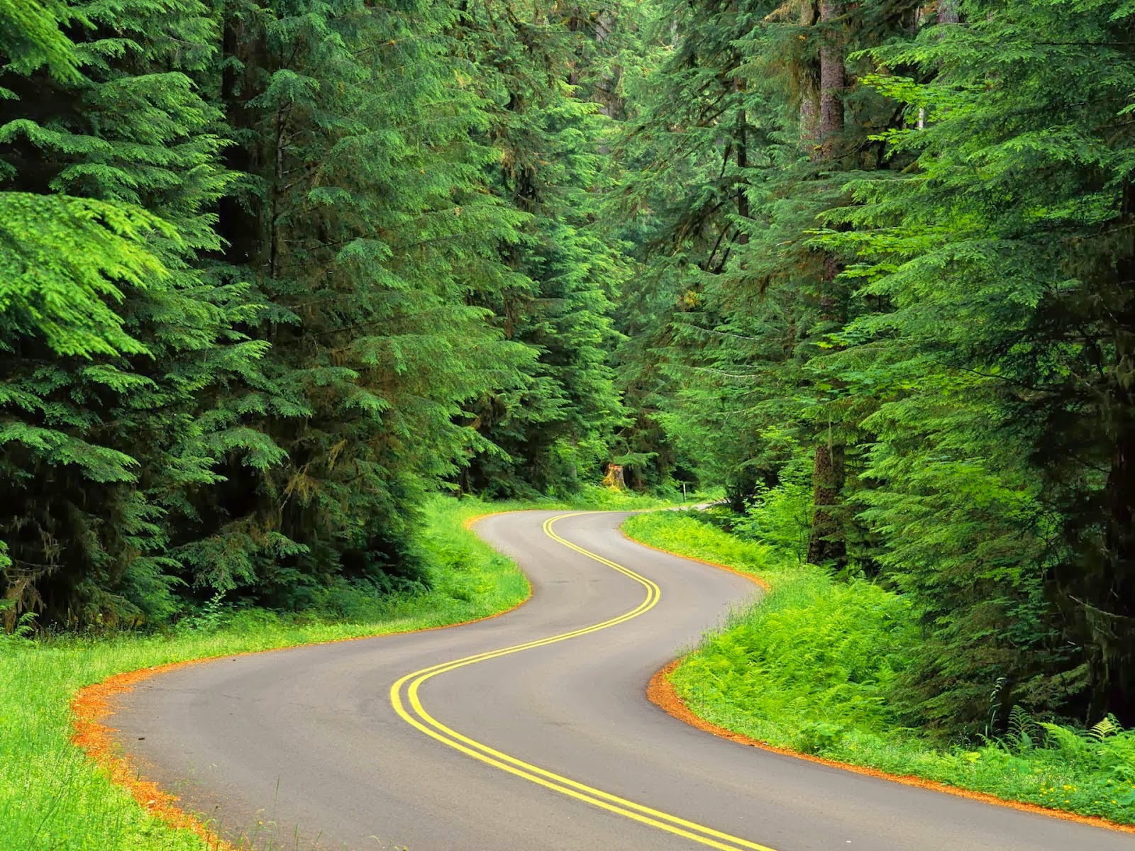 Global Pictures Gallery: 3D Nature Full HD Wallpapers