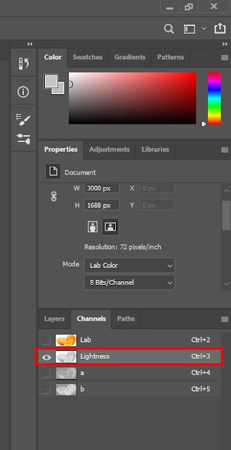 Lab Color Channel Lightness - Cara Membuat Foto Hitam Putih di Photoshop