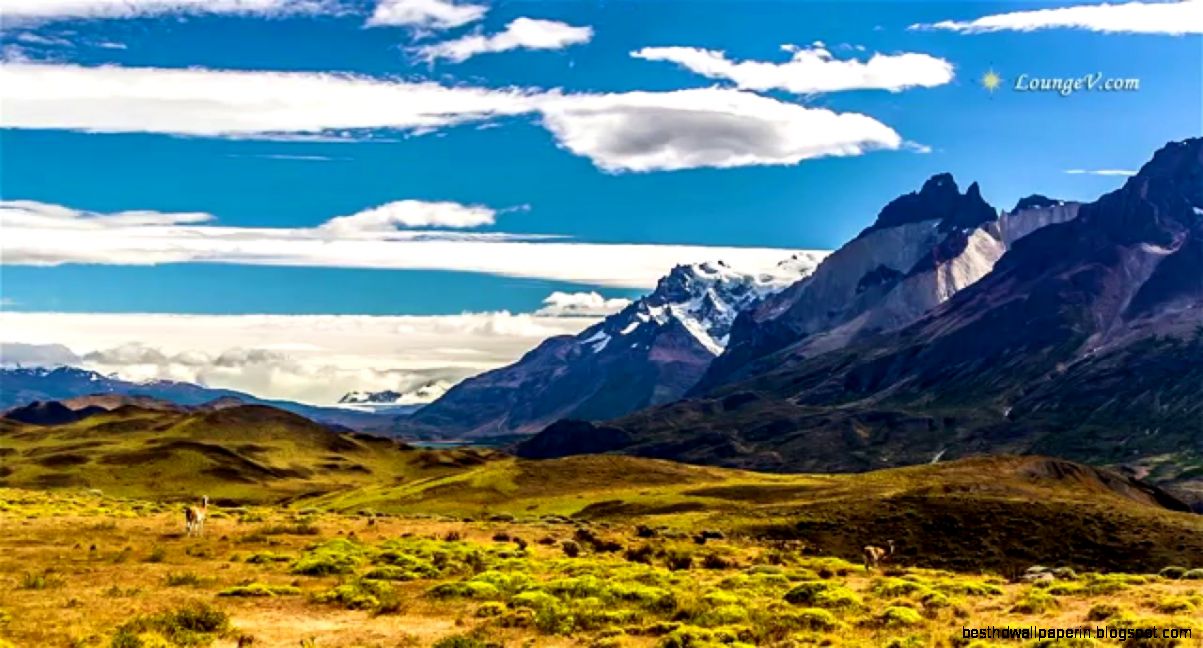 3 Hours of Relaxing Music with Peaceful Nature Sounds   Full HD