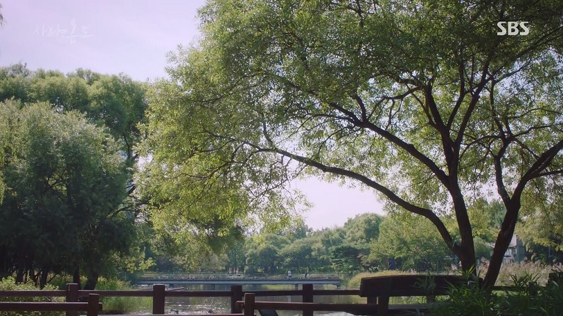 사랑의 온도 (Temperature Of Love) : 서울숲 (Seoul Forest) 사랑의 온도 (Temperature Of Love) : 서울숲 (Seoul Forest)