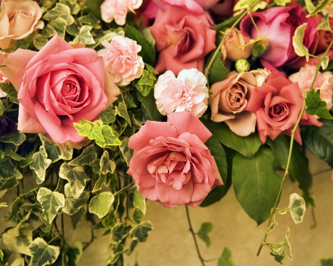 hd wallpapers 2012 Flowers wallpapers for hp laptop