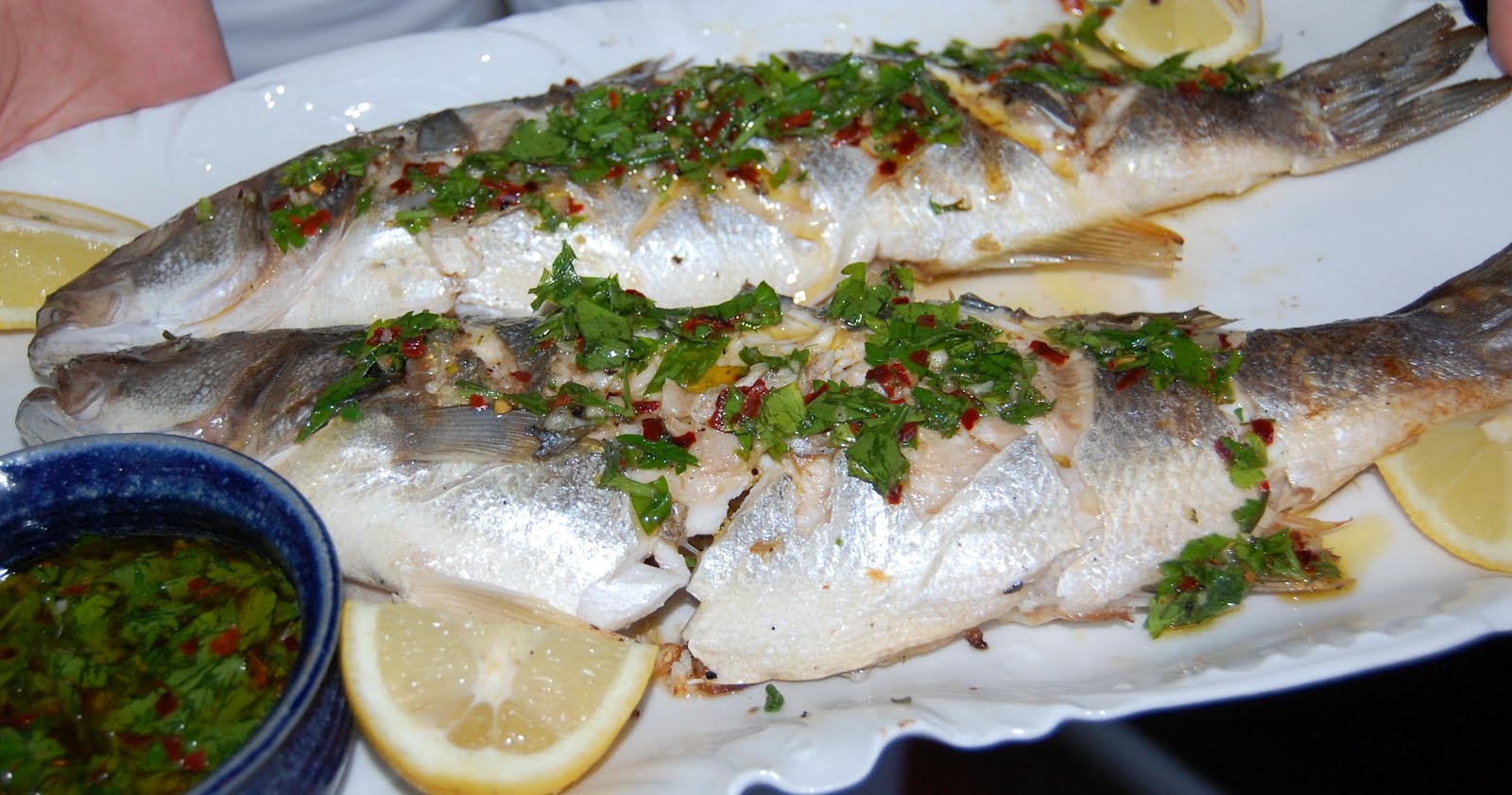 KnitOne,PearlOnion Grilled Branzino