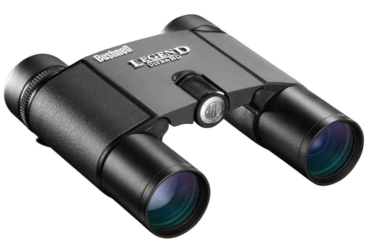 Bird In Everything February 2016