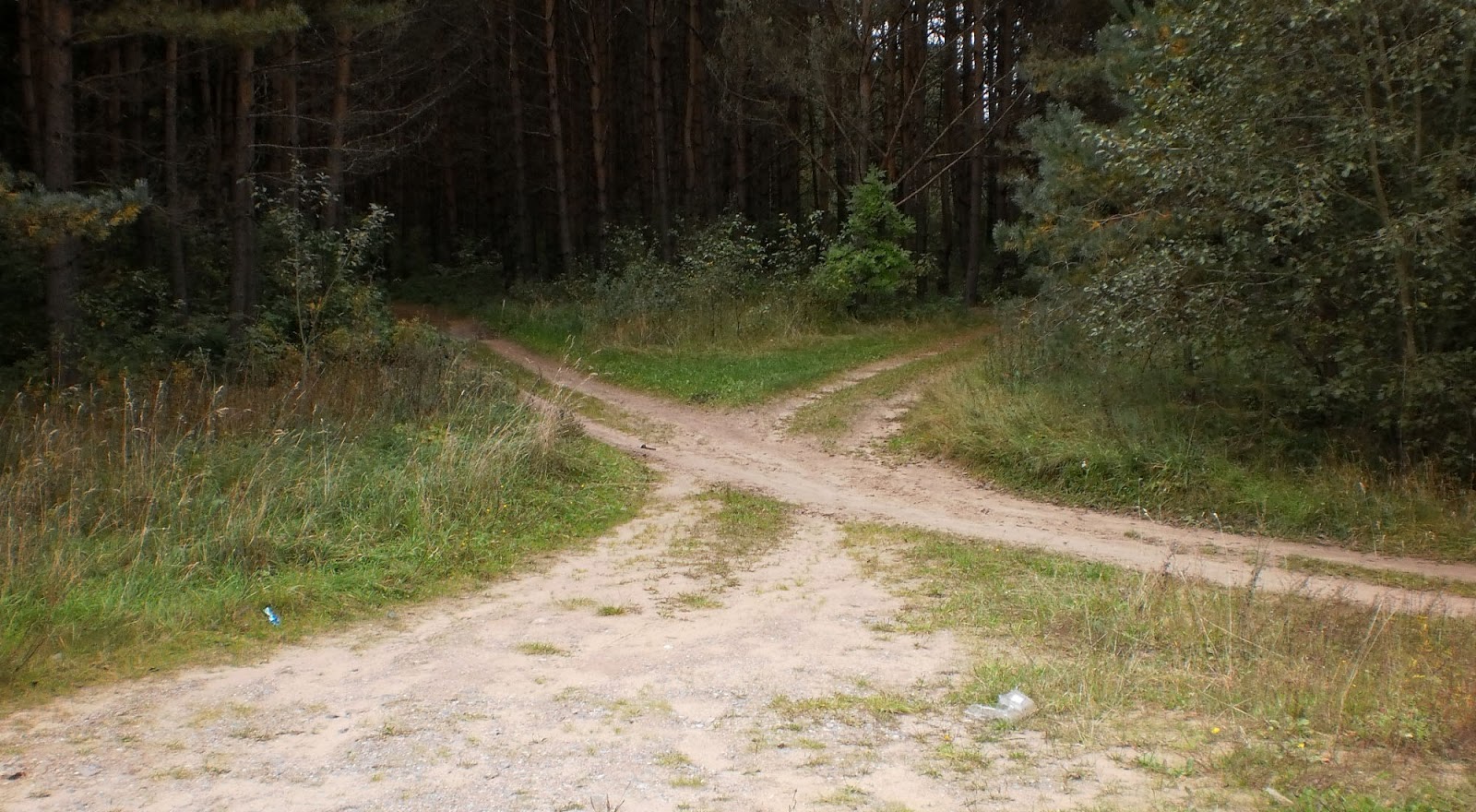 Просёлочная Лесная дорожка
