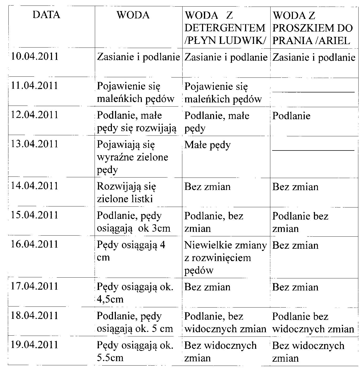 Wnioski I Spostrzeżenia Z Hodowli Fasoli ODKRYWAM ŚWIAT: HODUJĘ RZEŻUCHĘ