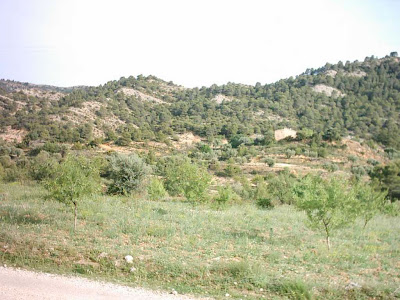 La pileta, camino, pantano de Pena, embalse, finca, almendros, olivos 4