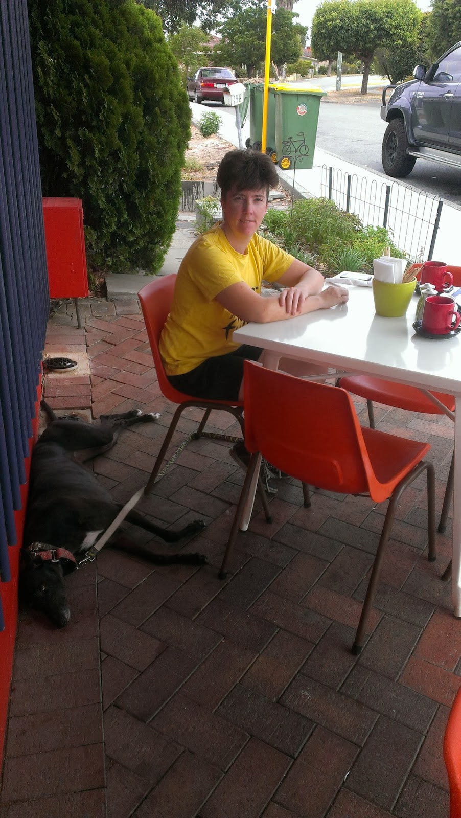 Jet's Furkid Palace Cafe Review Beez Neez Bayswater