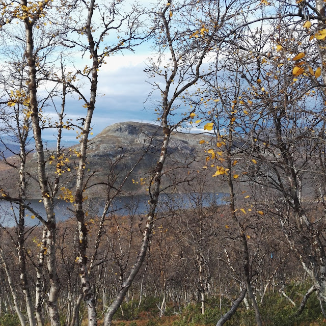 Mallatunturi Saanatunturi Kilpisjärvi