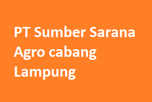 PT Sumber Sarana Agro cabang Lampung 