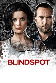 Blindspot Complete Season (1-4) 720p & 480p Direct Download