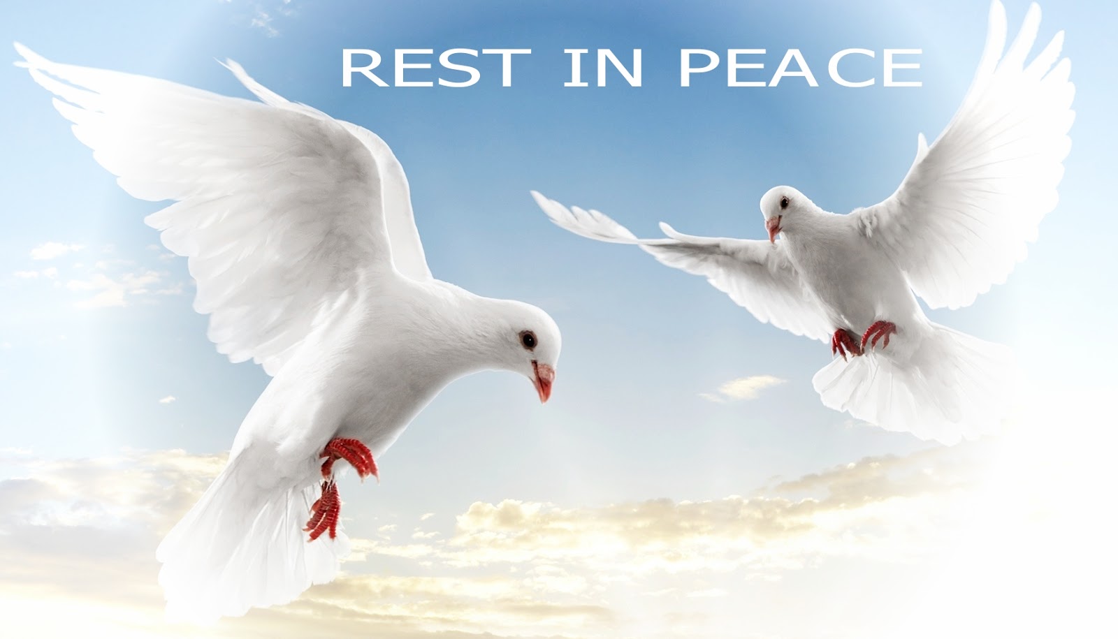 SolaBranded Rest In Peace 