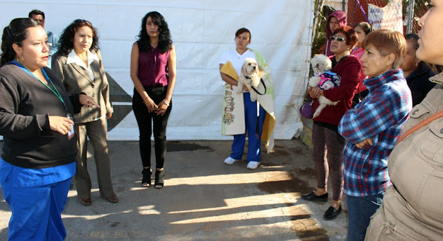 Cuautlancingo realiza la Primera jornada de esterilización de mascotas