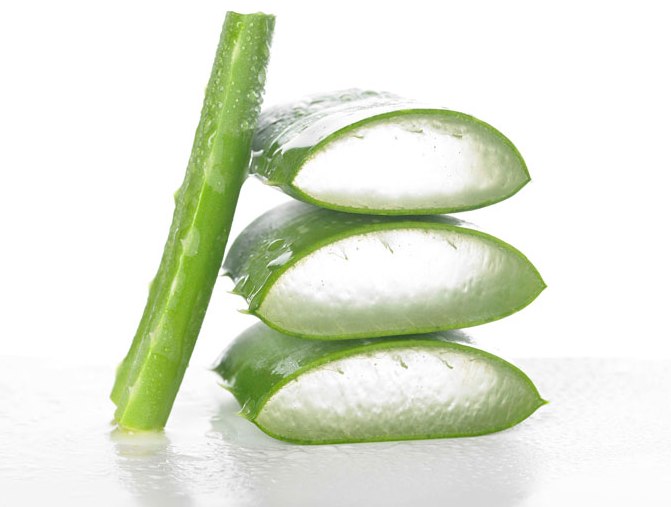Aloevera Manfaat Lidah Buaya untuk Kesehatan