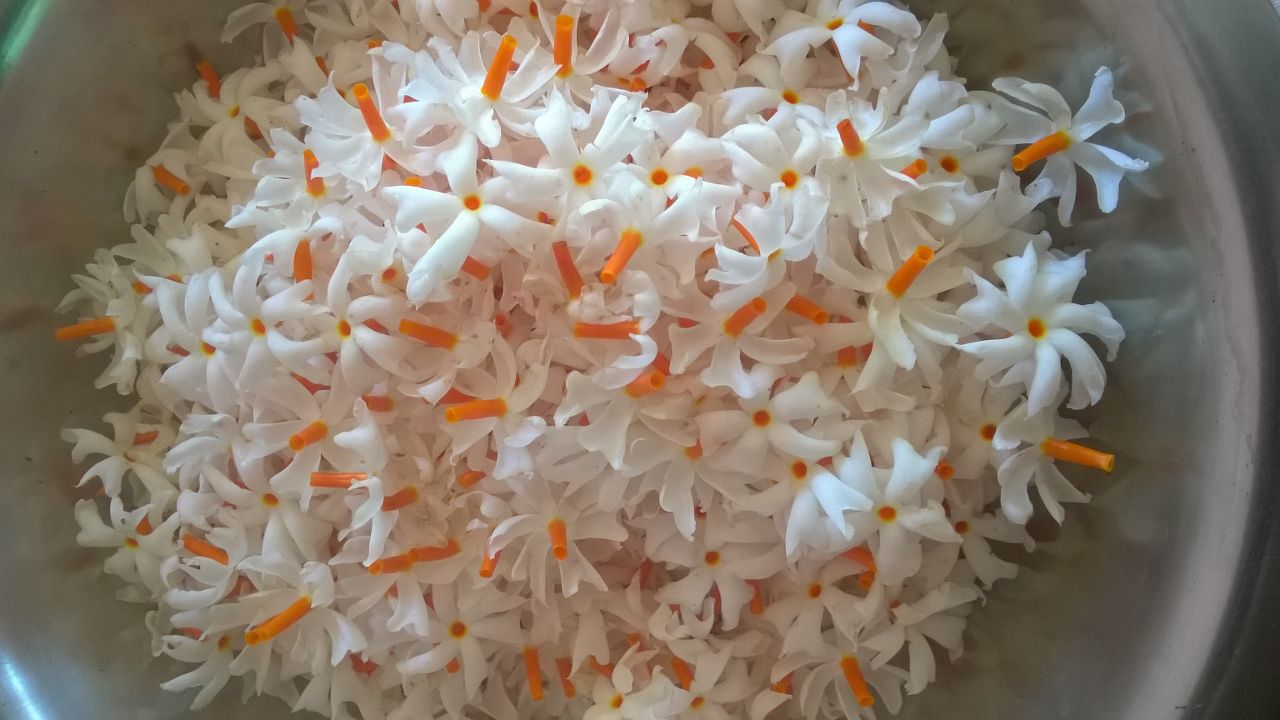 Recipes of Night Jasmine Shewali phulor byonjon