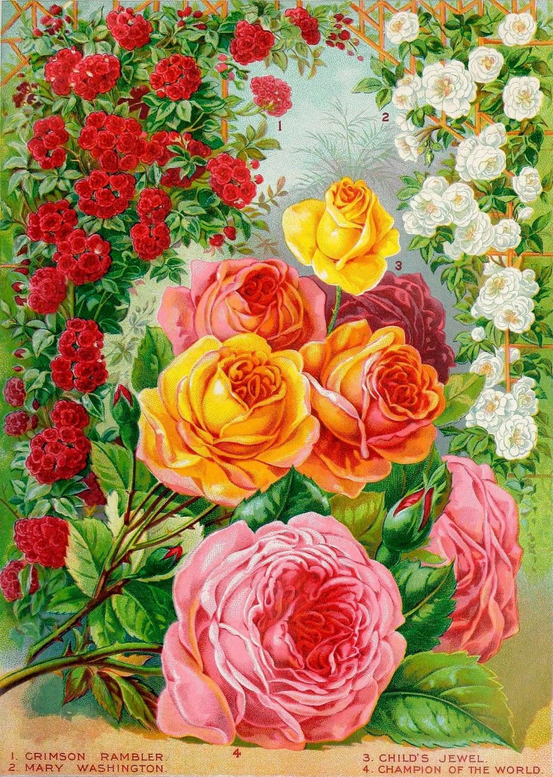 Vintage Antique Roses Posters_(61 item) Blisse Design Studio