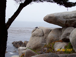 Pescadero Point on Carmel Bay in California